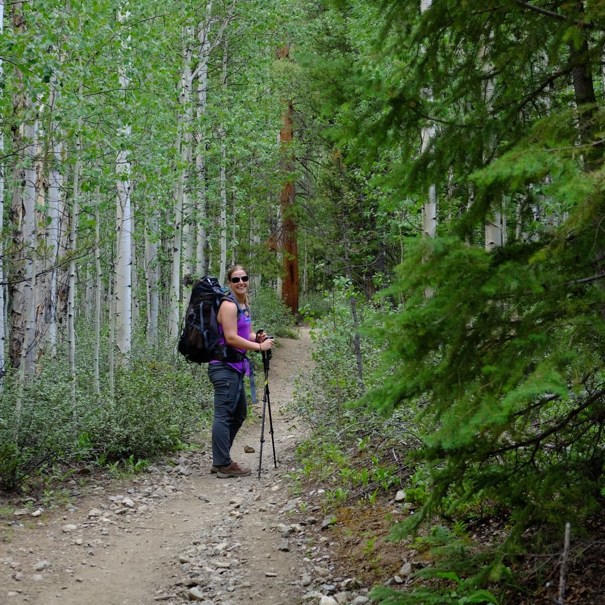 The trail starts off with a lovely trek through an aspen grove.