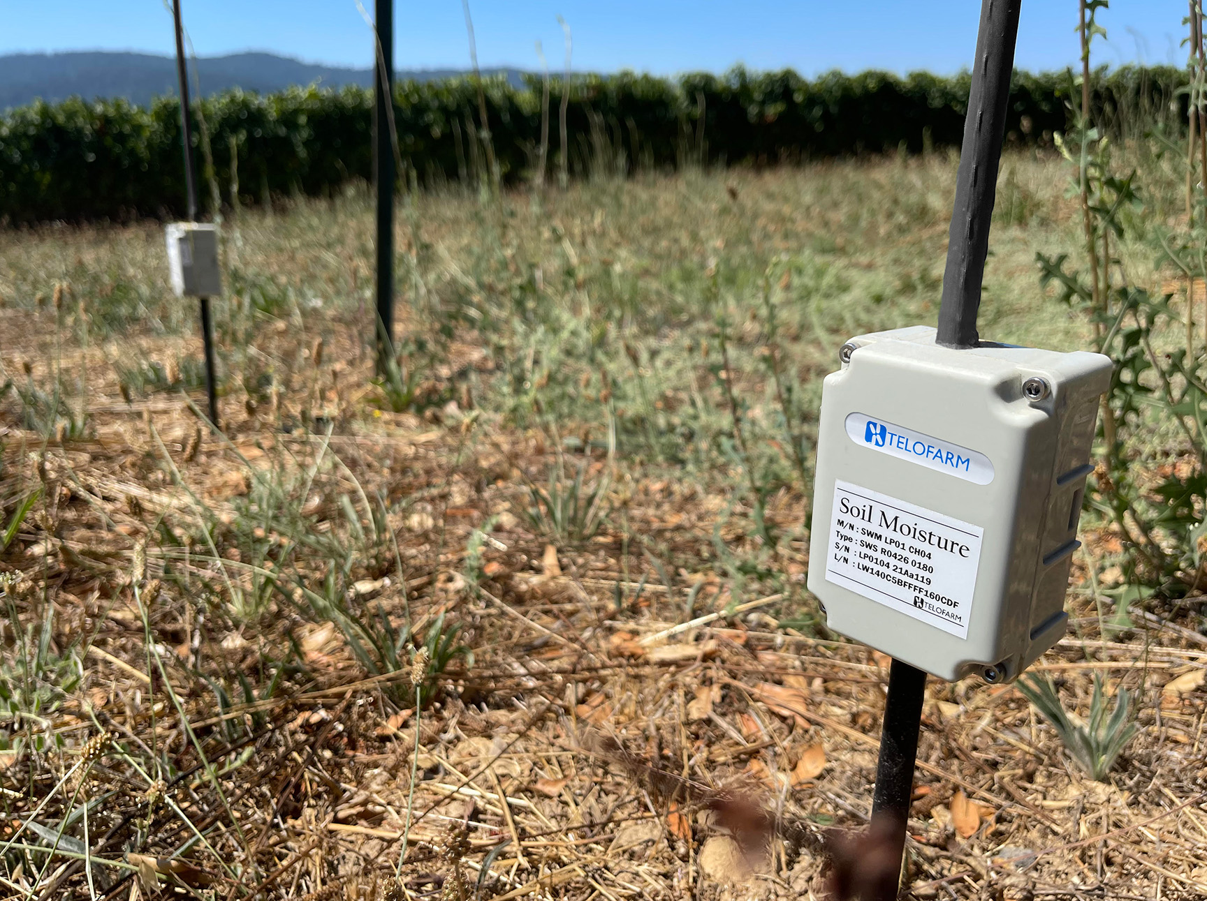 Soil moisture sensors installed in a field