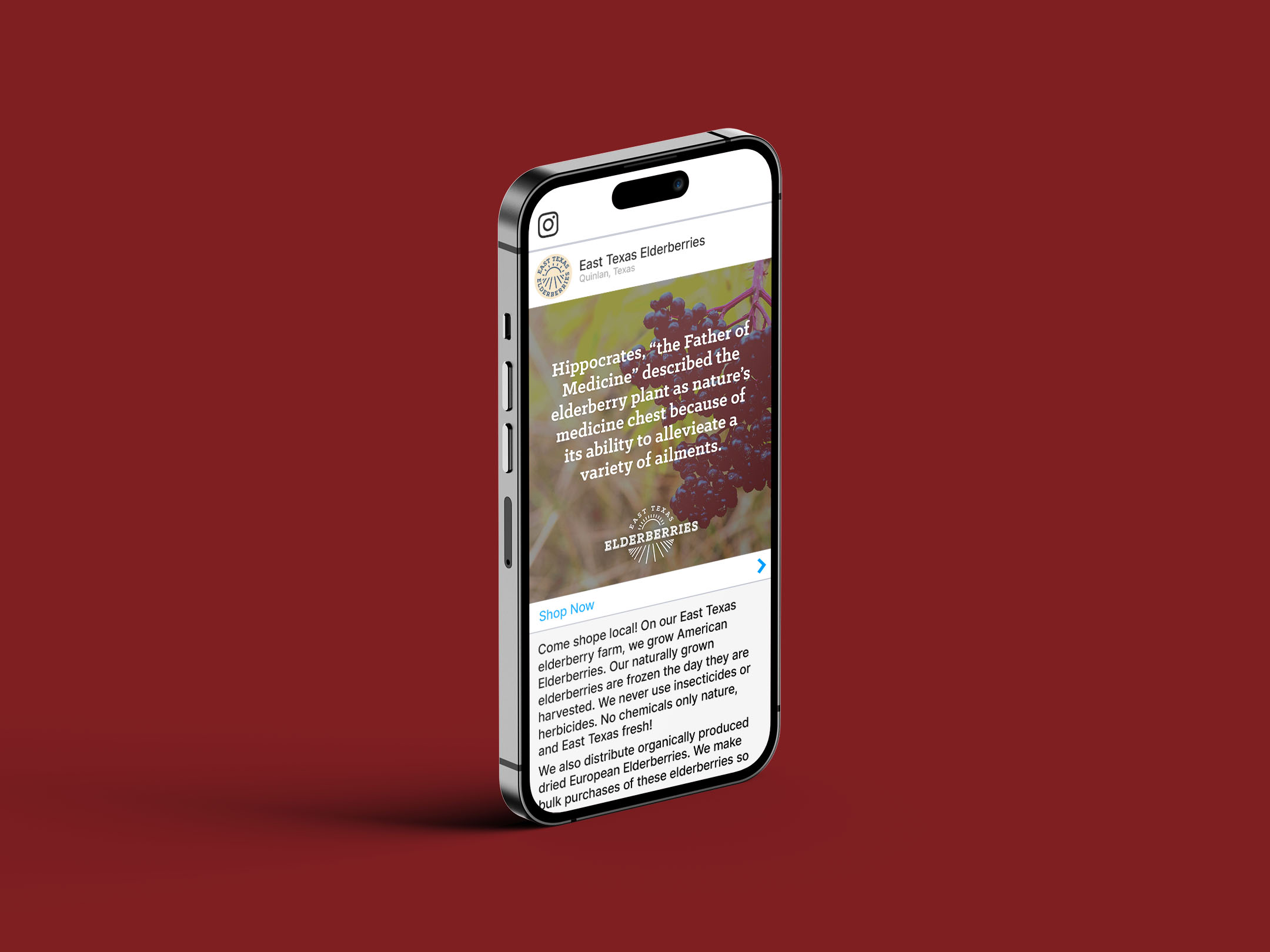 An iPhone showing the instagram ad campaign for East Texas Elderberries