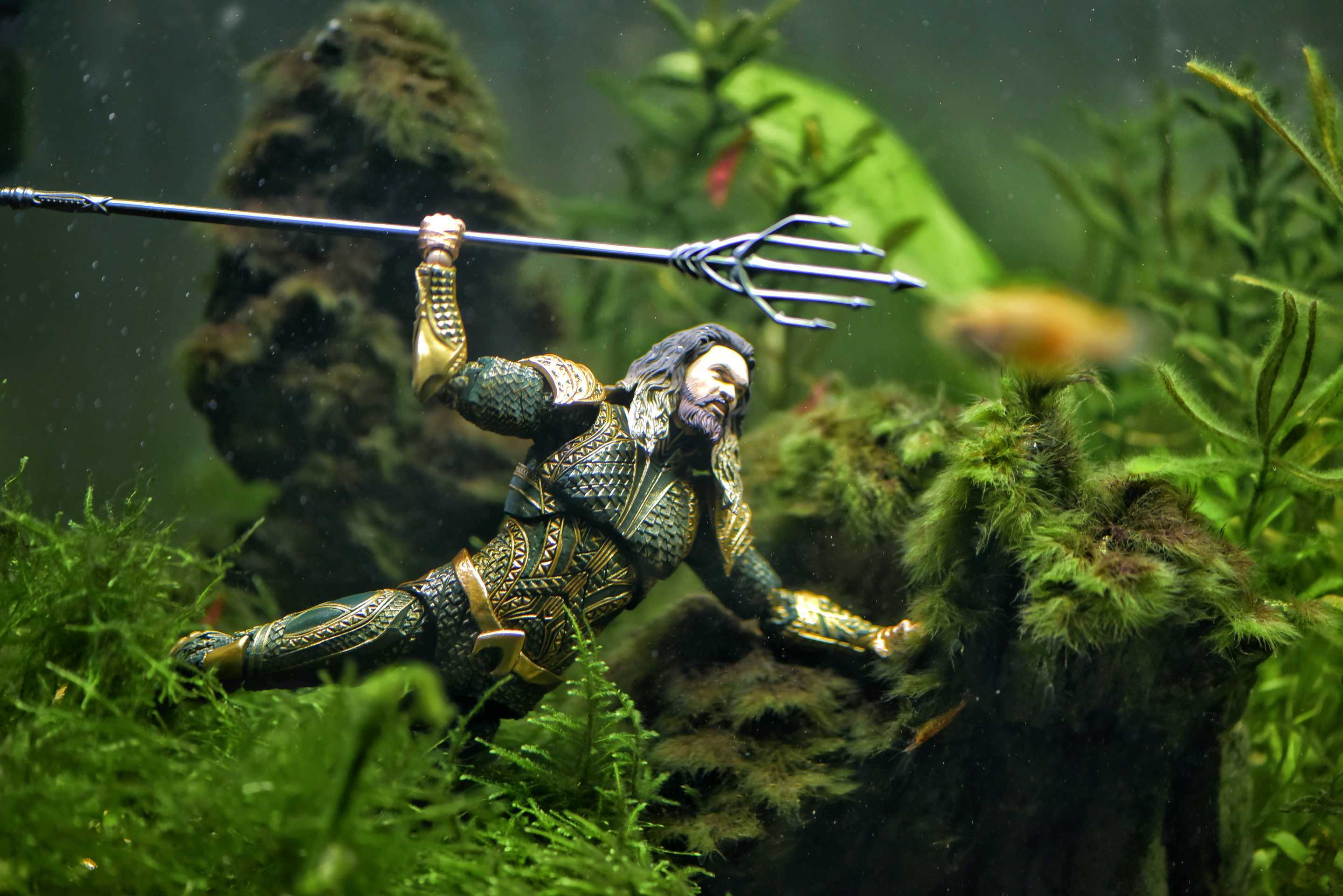 Aquaman In Fish Tank