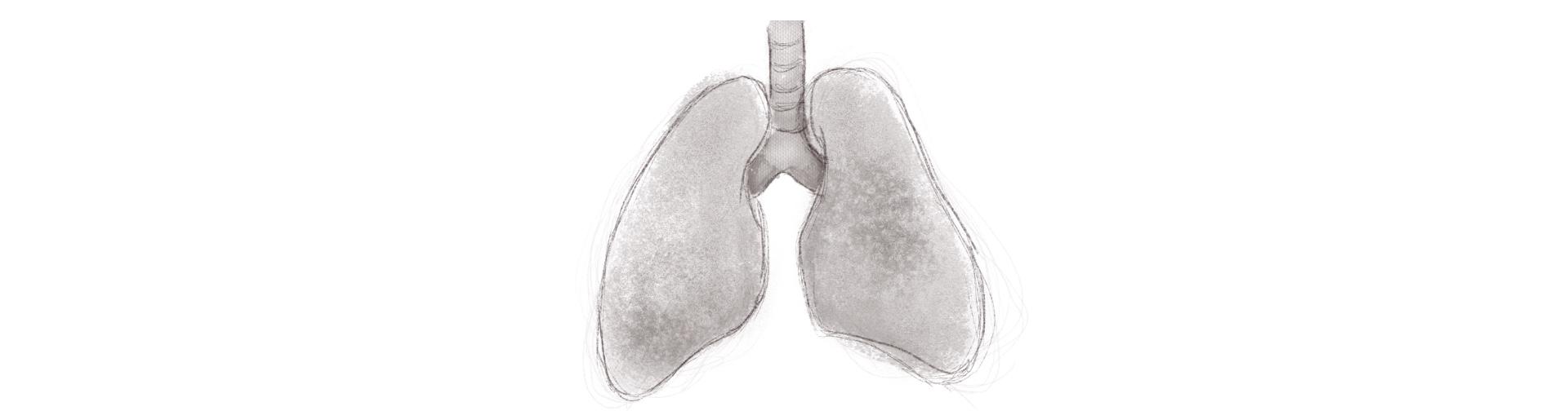 A drawing of a set of lungs in black and white by Adam Westbrook