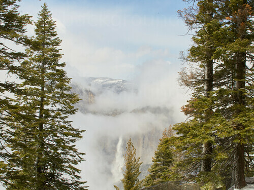Dramatic snow-covered mountains with tall evergreen trees and mist in the valley Skype background