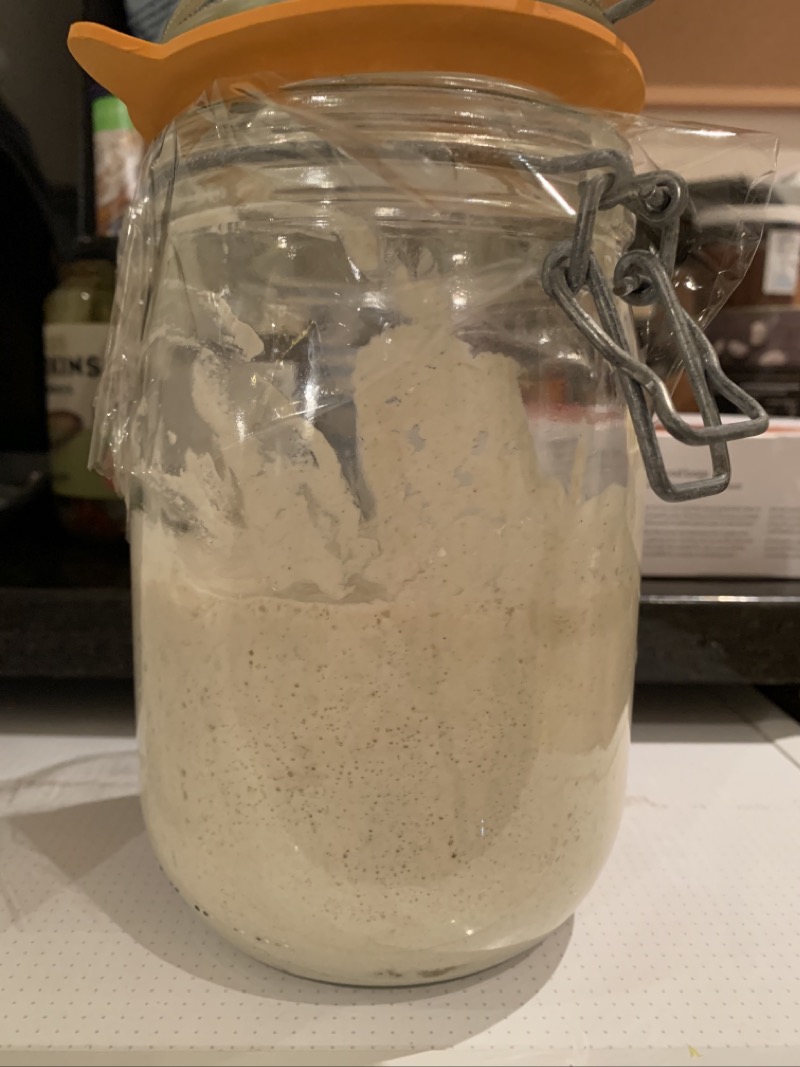 Sourdough starter, showing signs of growth in a glass jar.