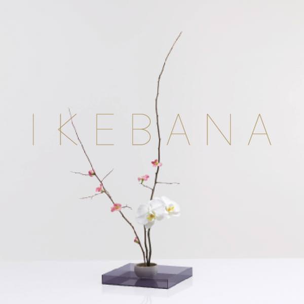 Project image for - Ikebana