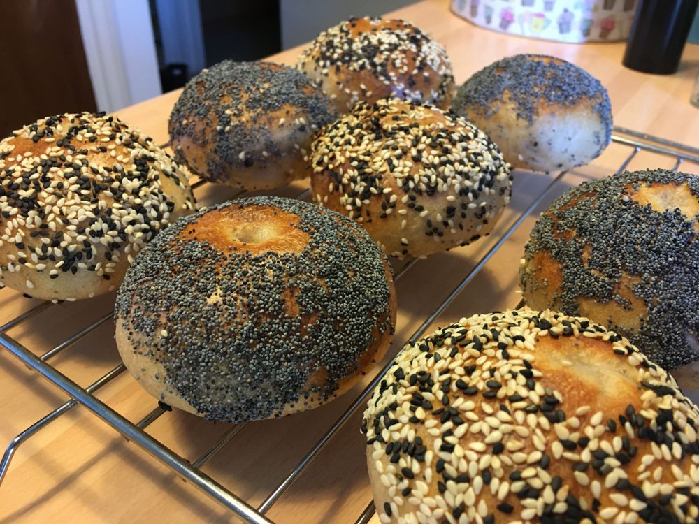 Pretty bagels on a cooling rack. Half with black and white sesame seeds, half with poppy seeds.