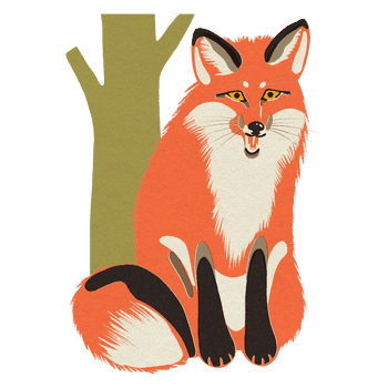 BESIDE_15animals_2021redfox.png