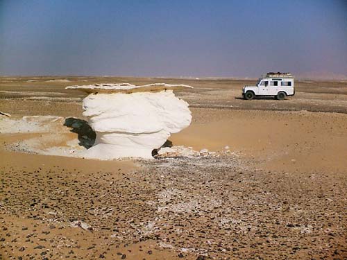 White desert 24