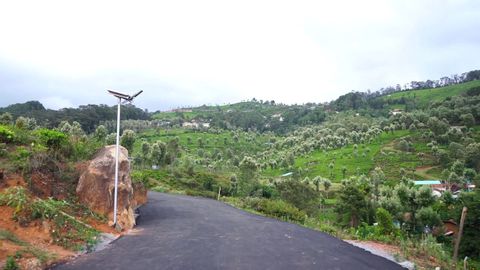 View from the driveway