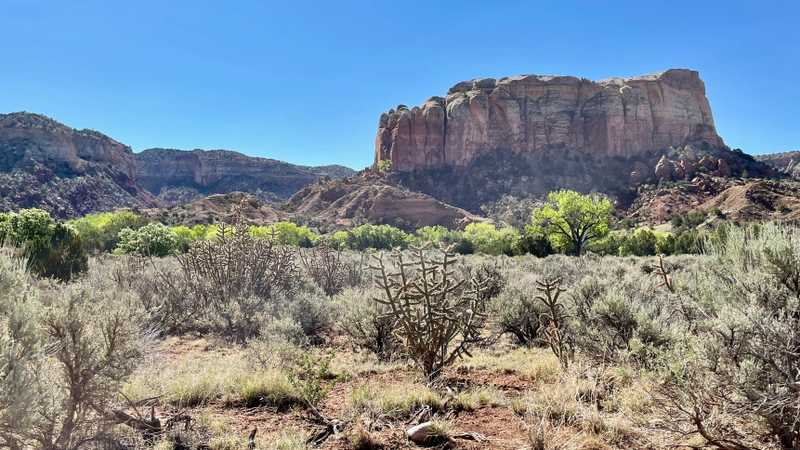 A sandstone bluff at Ghost Ranch