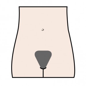 Bikini Wax Diagram