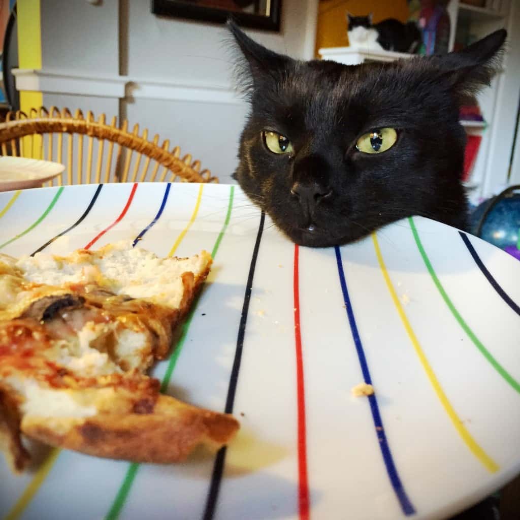 Frank\, trying to steal pizza