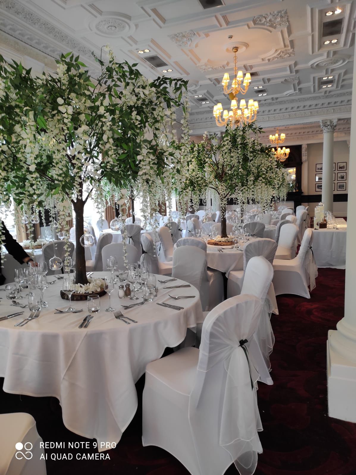beautiful wedding venue dressing small trees sat atop tables for centrepieces.