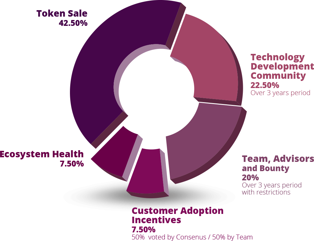 Token Distribution Model