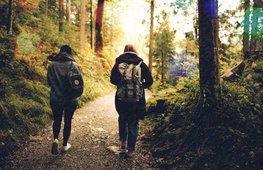 Two people going for a socially distanced walk in a forest