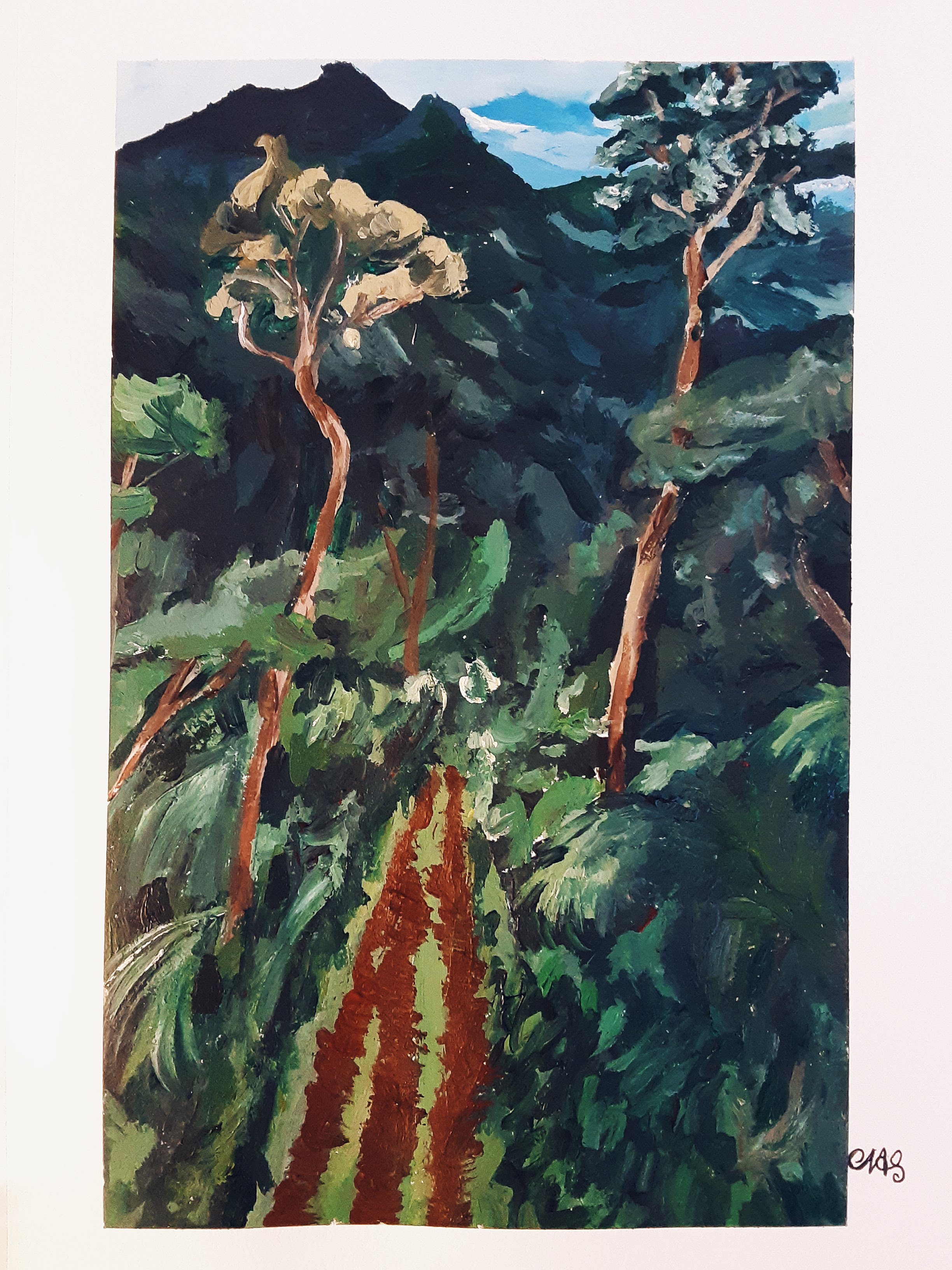 Jungle Jungle