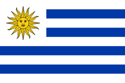 flag_uy