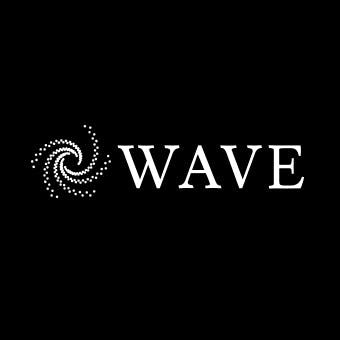 Wave Financials