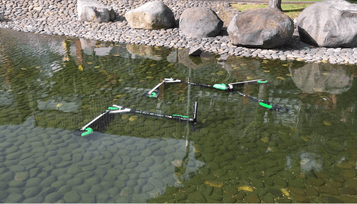 Lime scooters dumped in a pond in downtown Auckland, New Zealand. Photo by Lori Haggarty.