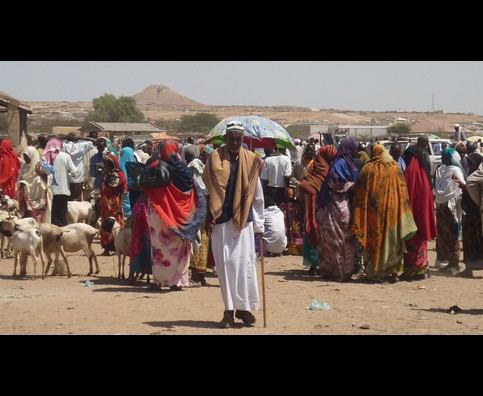 Somalia Animal Market 9