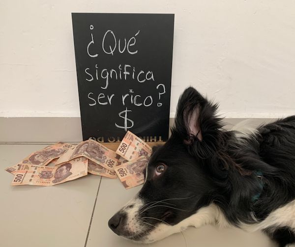 Ninca acostada al lado de muchos billetes de $500 pesos mexicanos y de un cartel que dice: '¿Qué significa ser rico? $'.