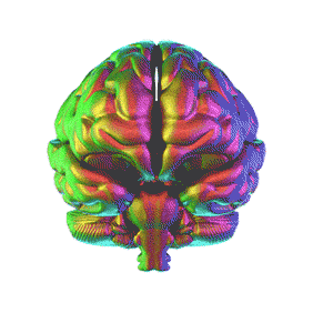 A psychedelic image with moving rainbow heart background and spinning brain
