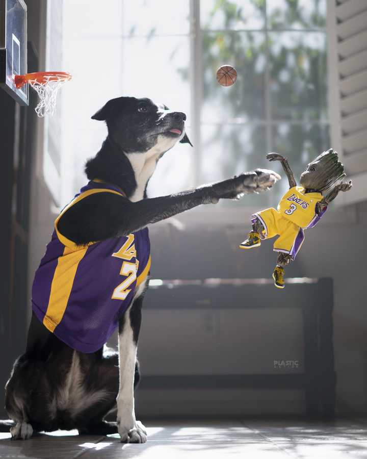 Mezco vs. Neca vs. Shf Basketball