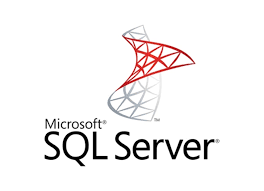 Passing parameters to SQL Server functions using R