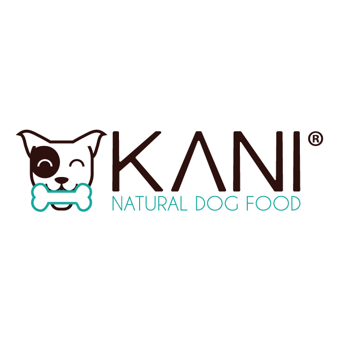 Dingo Startup logo