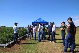Centro Universitário Integrado realiza XX Feira Agropecuária
