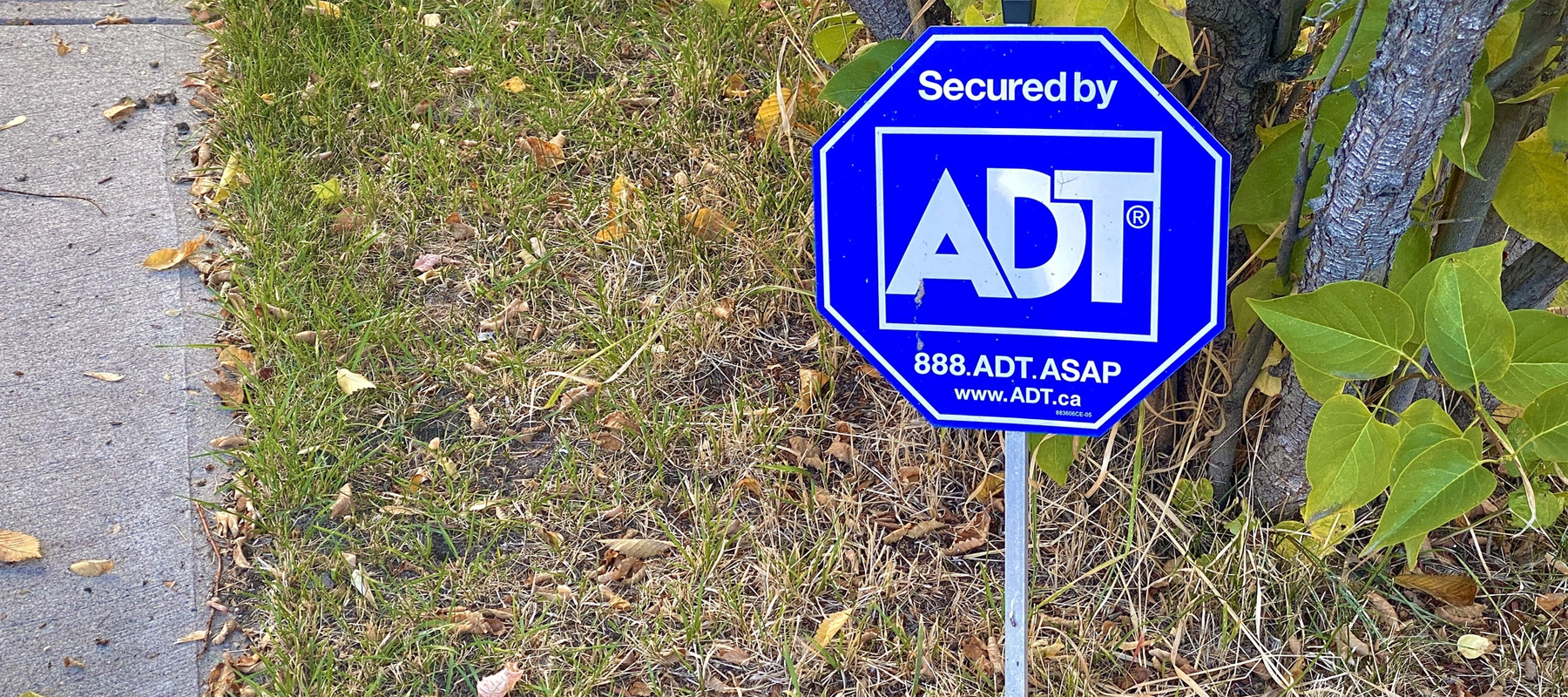 ADT Home Security Sign in Yard