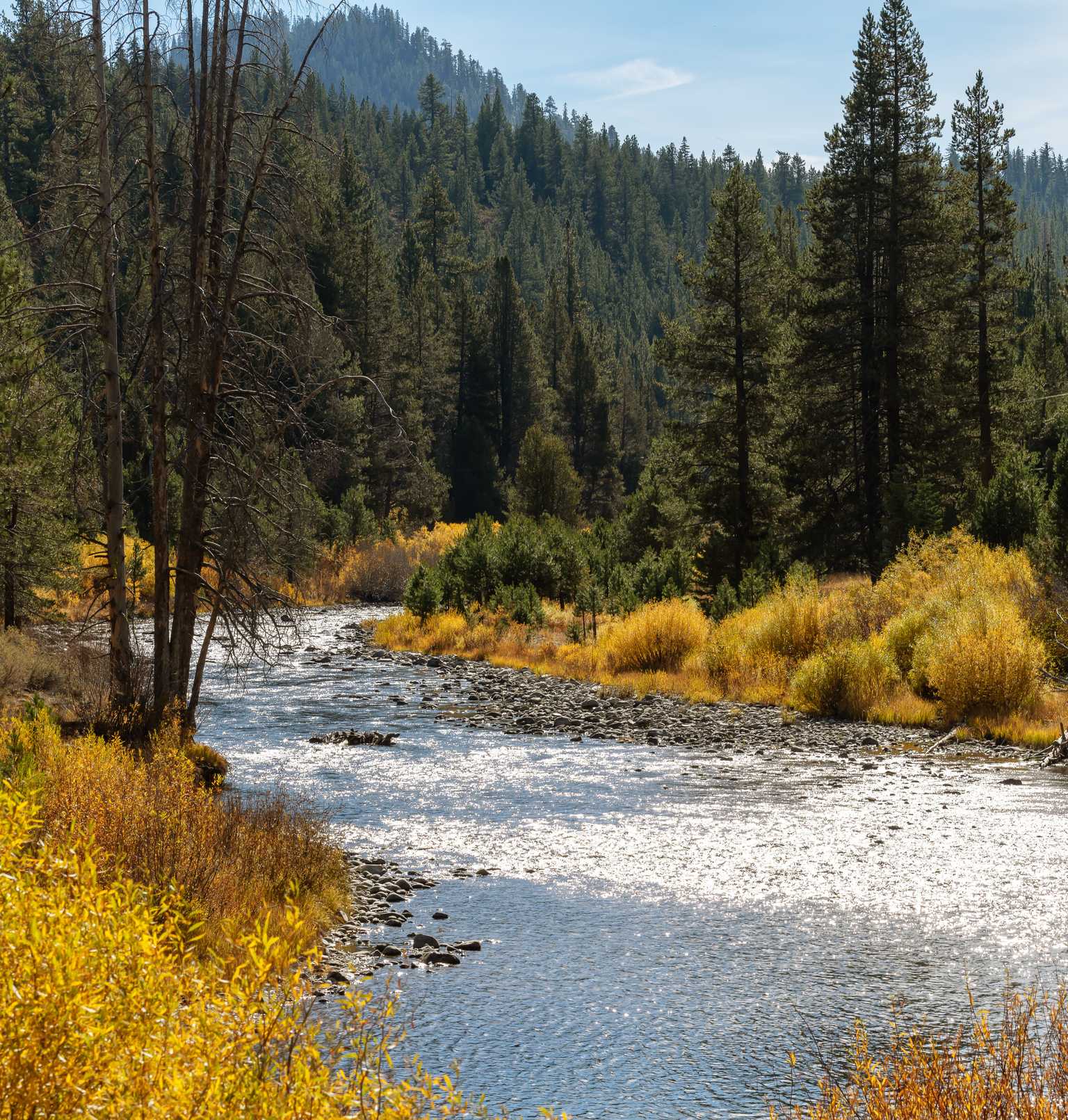 Since the first grant in 2006 more than $14 million in grants has flowed through the Truckee River Fund to protect and enhance the water quality and the water resources of the Truckee River.