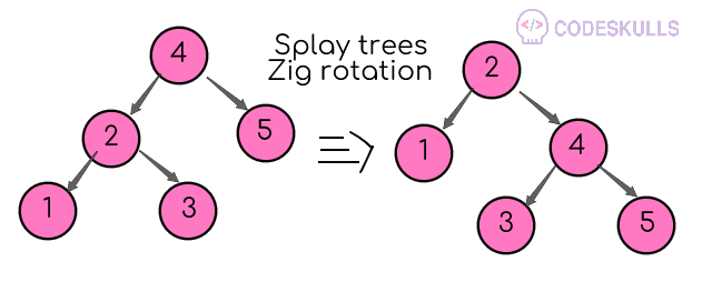 Splay tree Zig Rotation