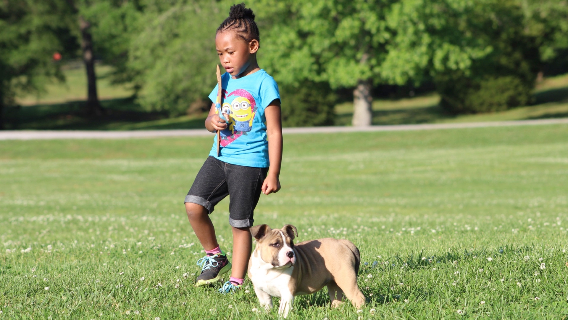 Children And Dogs, Important Information For Parents