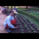 Burma Gardens 10
