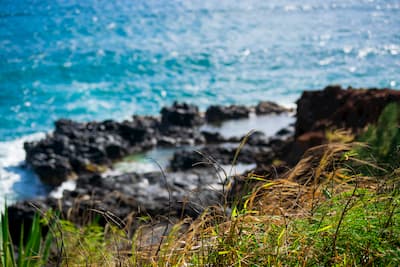 image from Hawaii Coastline