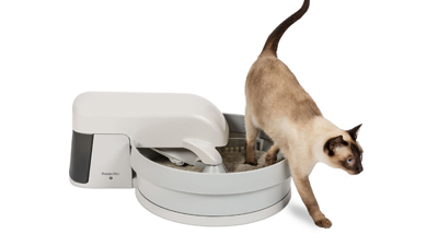 Cat with Auto-Clean Litter Box System