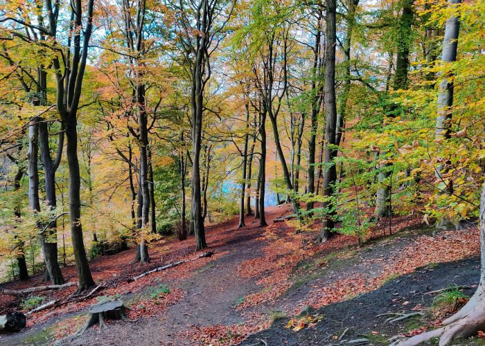 Gledhow Valley Woods Gledhow Valley Woods path along the hill in Autumn