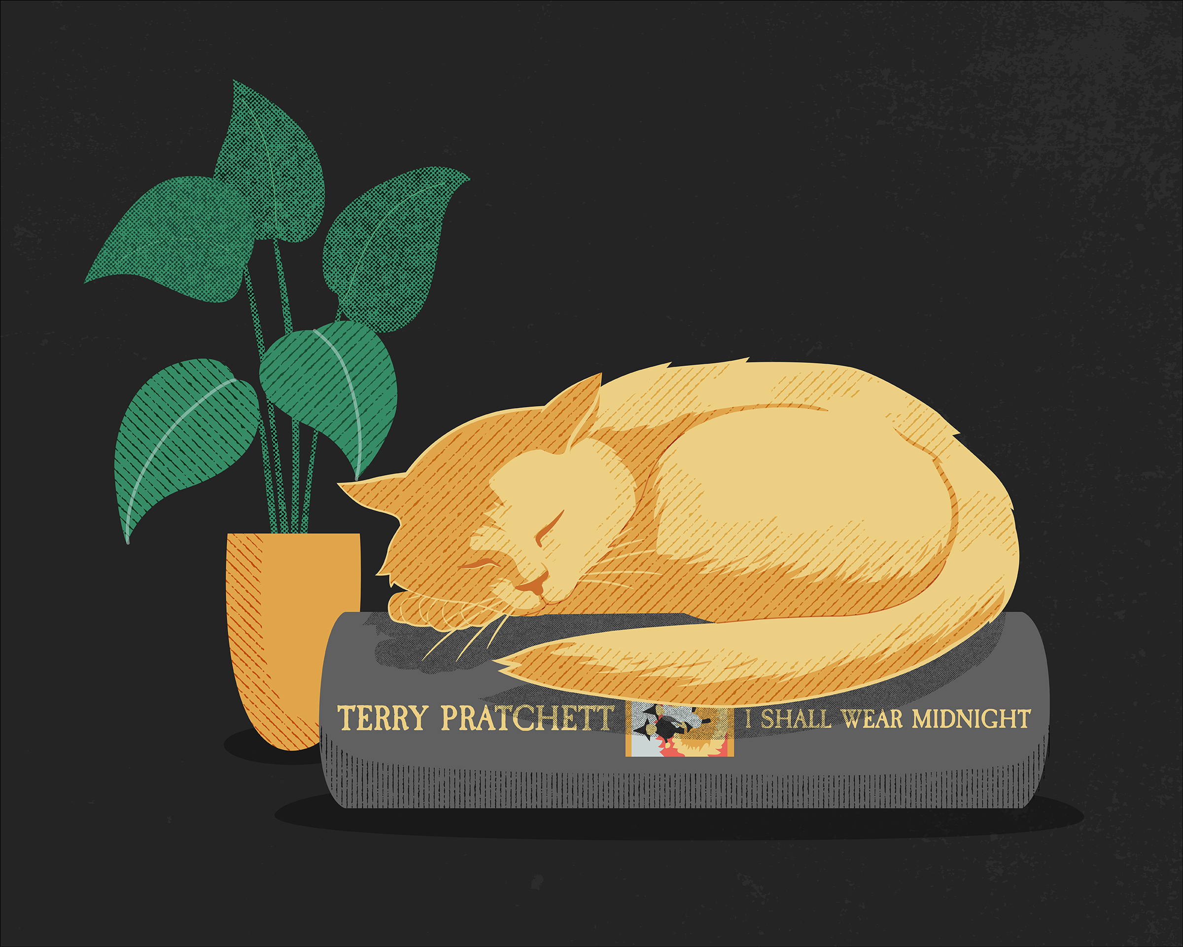 Illustration of a cat sleeping on a Terry Pratchet novel