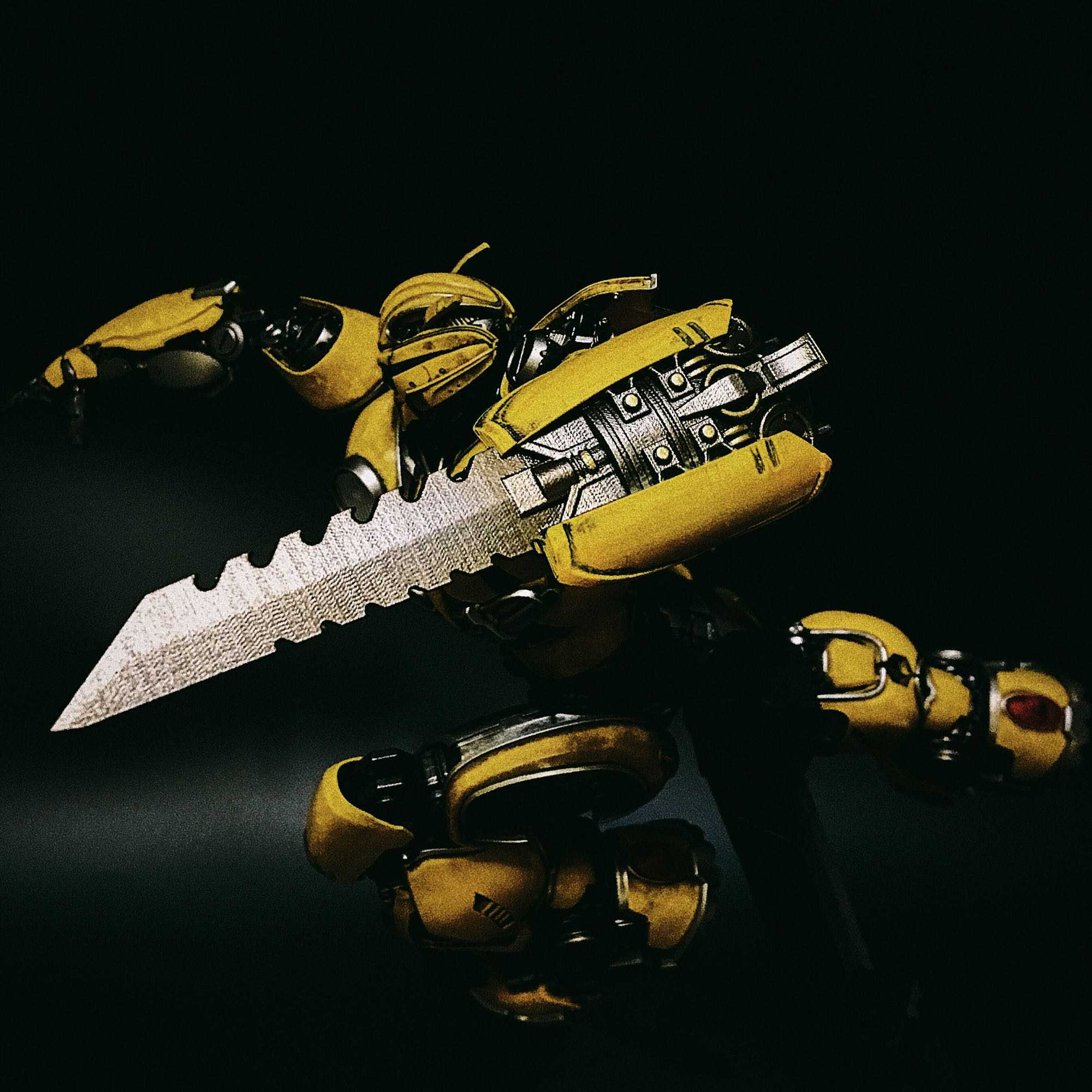 When Bumblebee Has Blade