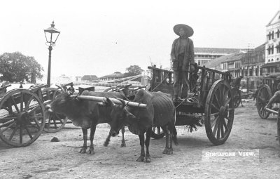 牛车，1910年代