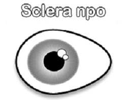 Sclera Symbols