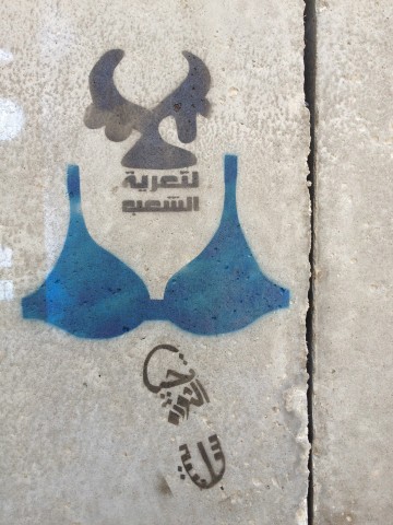 Figure 1: ‘No to Stripping the People’. Photograph by Bahia Shehab (2011)