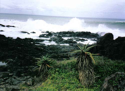 Transkei coast 1
