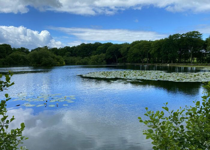 Breary Marsh Breary Marsh