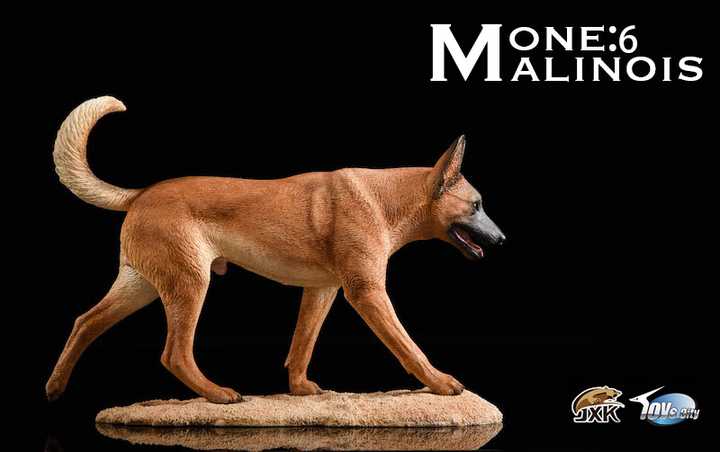 Belgian Malinois With John Wick