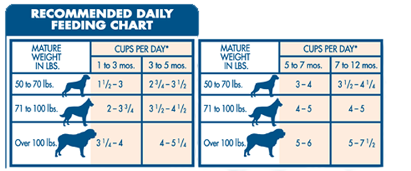 Best Food for Large Breed Dogs | Feeding Guide | Reviews - Dognutrition.com
