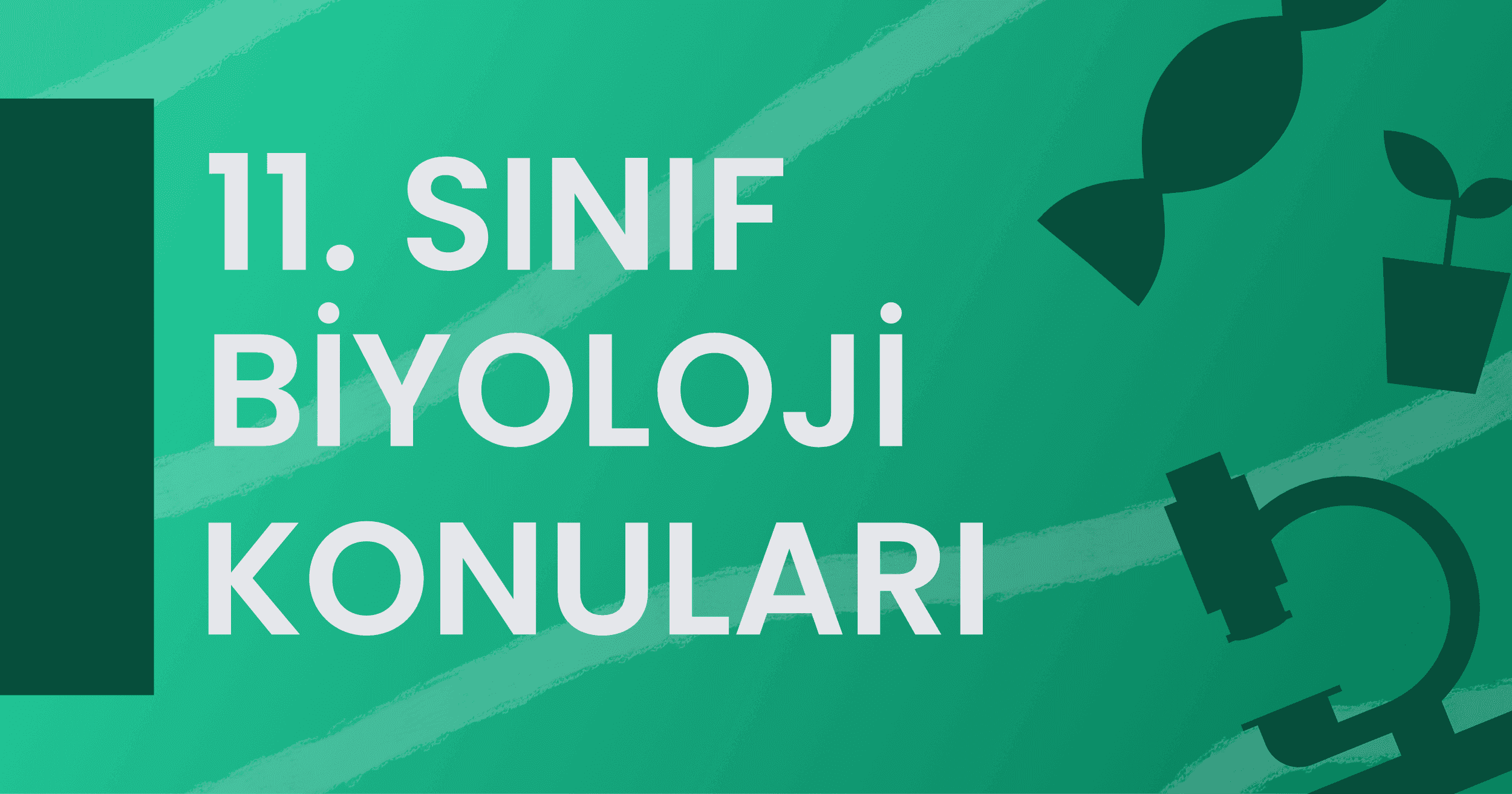 11. Sınıf Biyoloji Konuları