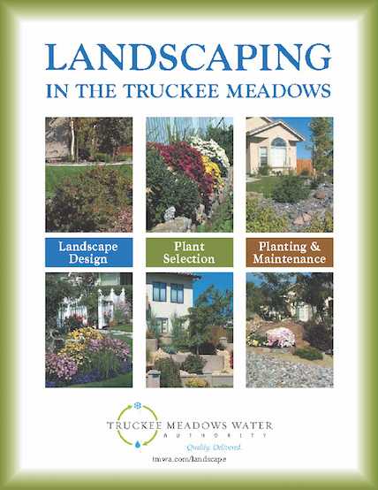 Landscaping in the Truckee Meadows guide