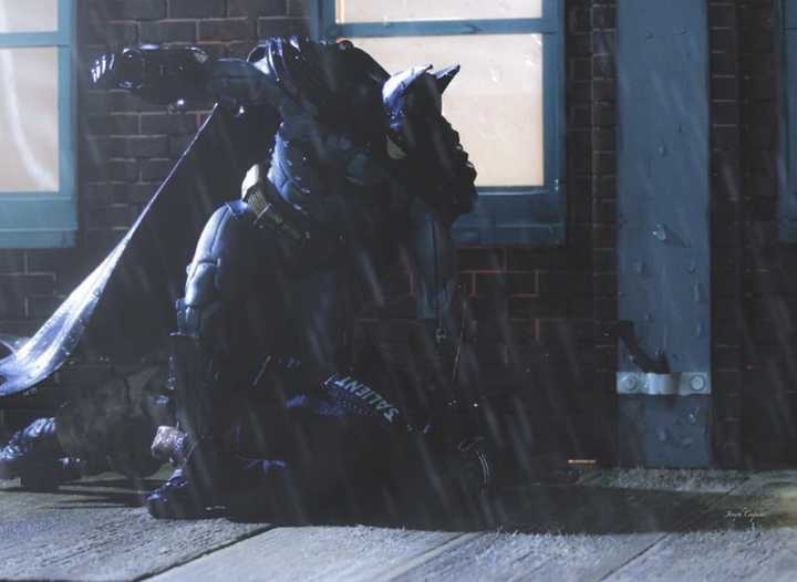 Six Inch Figure Collections Weekly Update 2