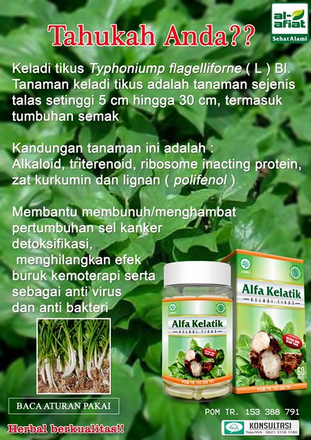 Alfa Kelatik AlAfiat